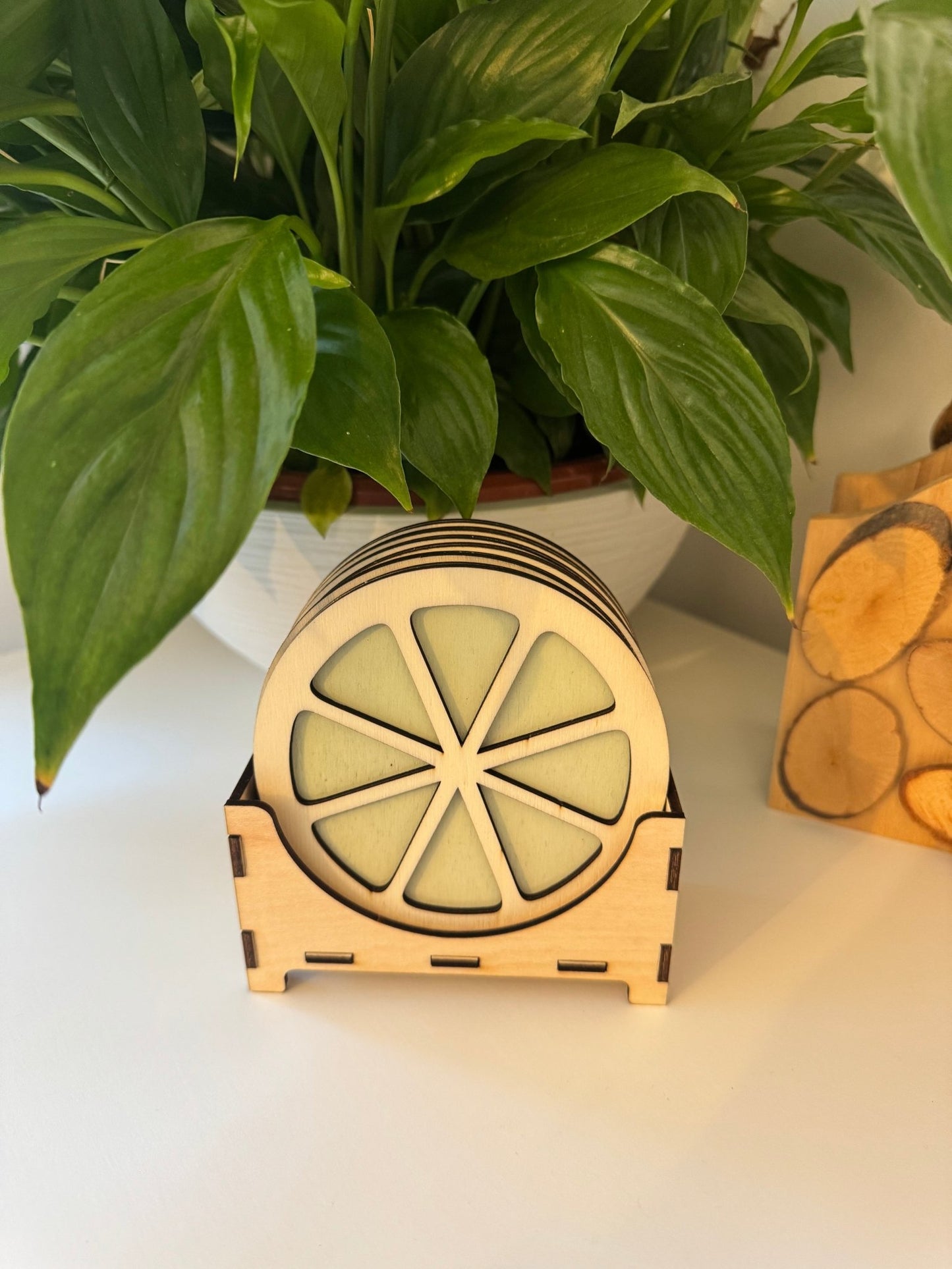 Sous - verres en contreplaqué de peuplier – Naturels & Écologiques agrumes pastels - GreenbyMilie