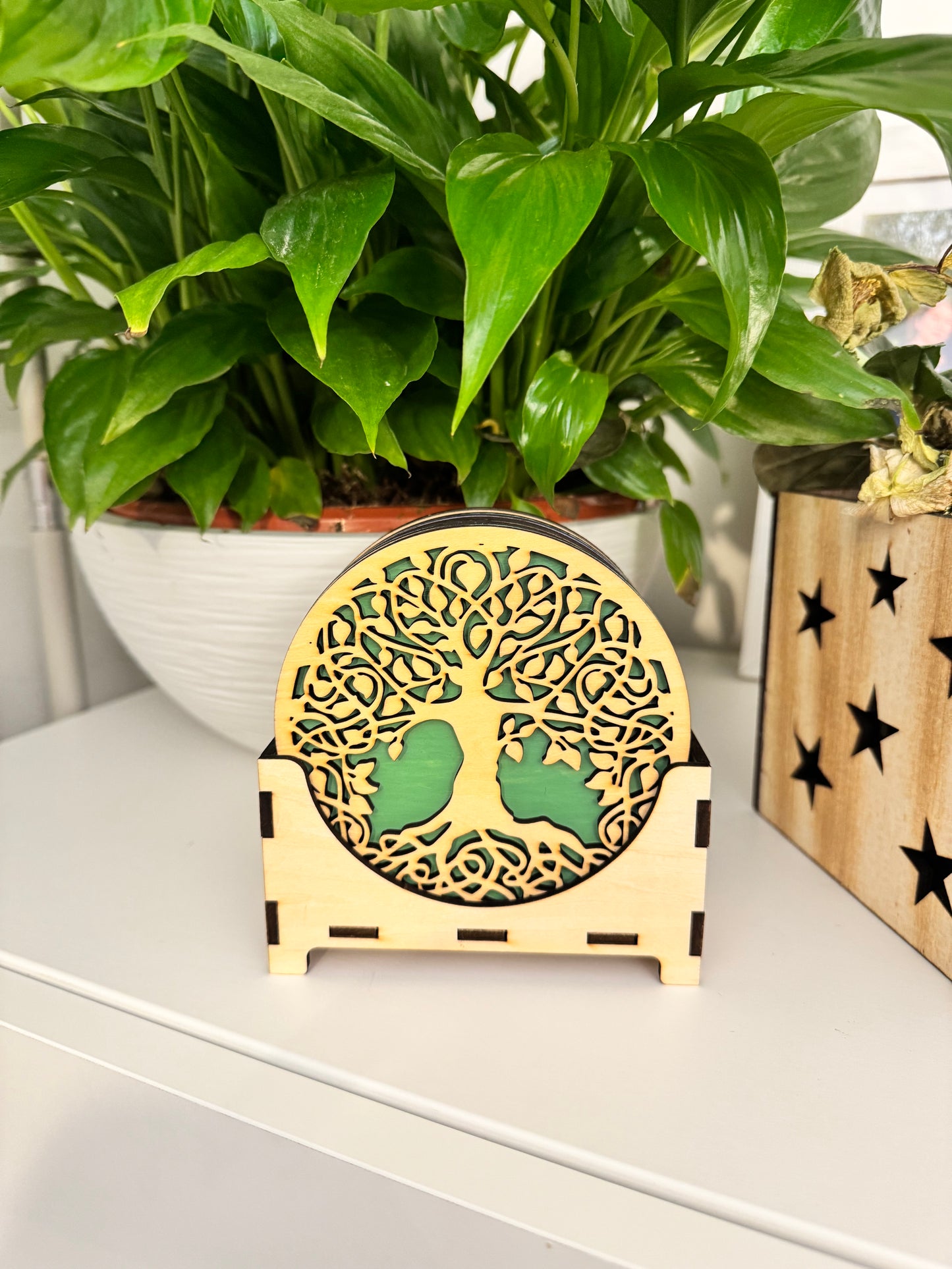 Sous-verres en contreplaqué de peuplier – Naturels & Écologiques arbre de vie
